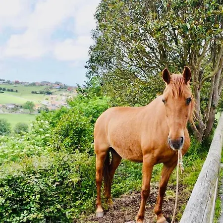 펜션 Casa Mey 칸다스