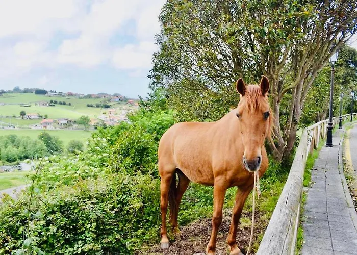 Сasa de vacaciones Casa Mey Candás